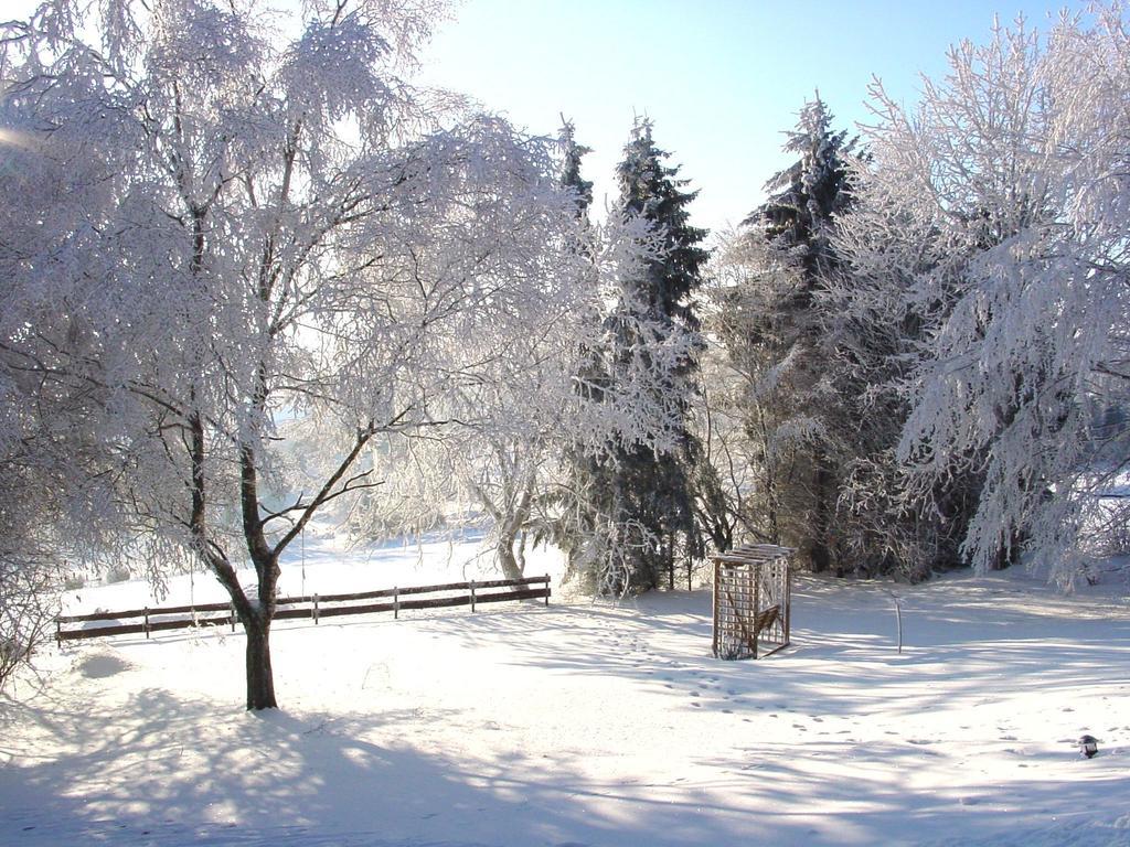 Fewo Holms Winterberg Quarto foto